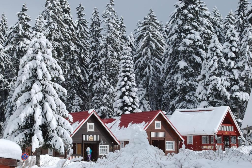 Виллы Ski Chalet Borovets Боровец-113