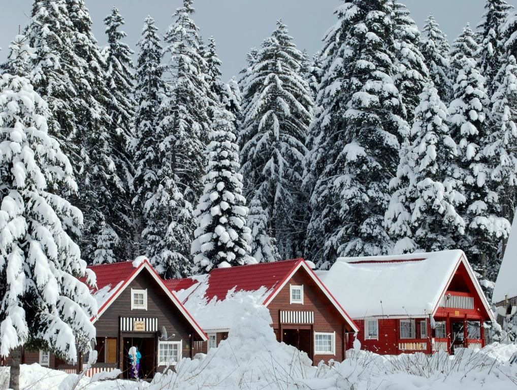 Виллы Ski Chalet Borovets Боровец-115