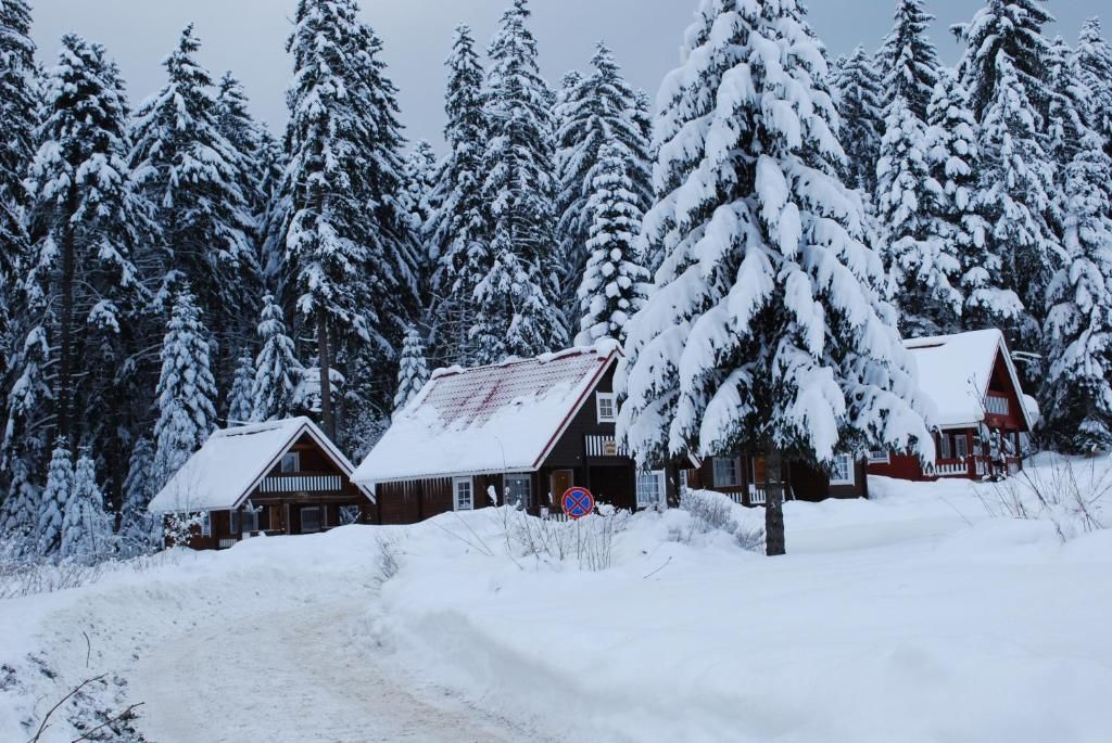 Виллы Ski Chalet Borovets Боровец-116