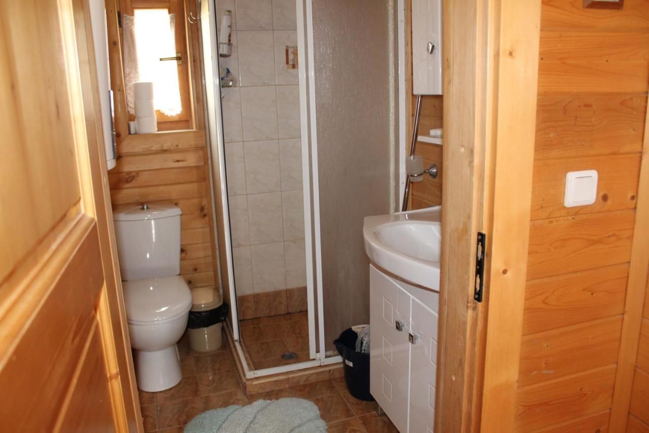 Виллы Ski Chalet Borovets Боровец
