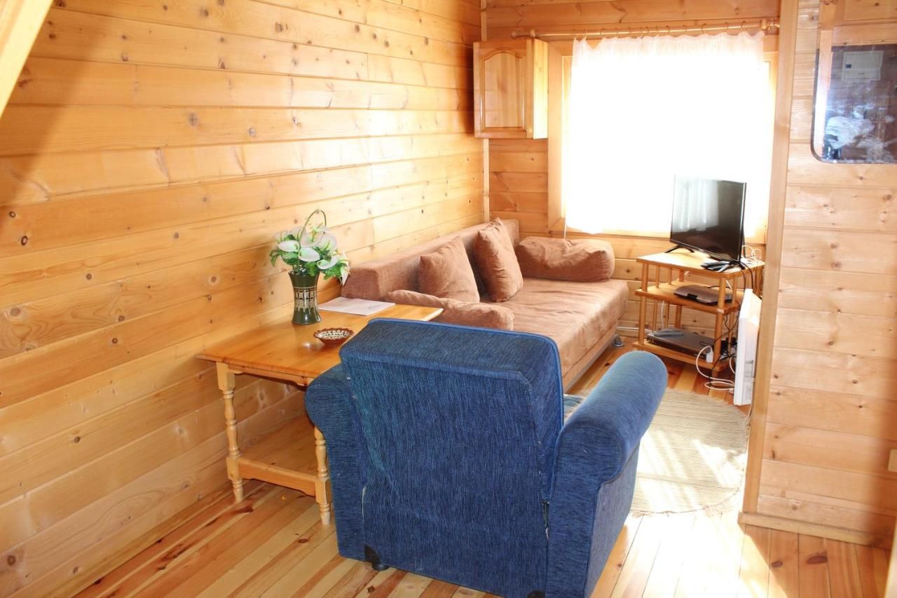 Виллы Ski Chalet Borovets Боровец