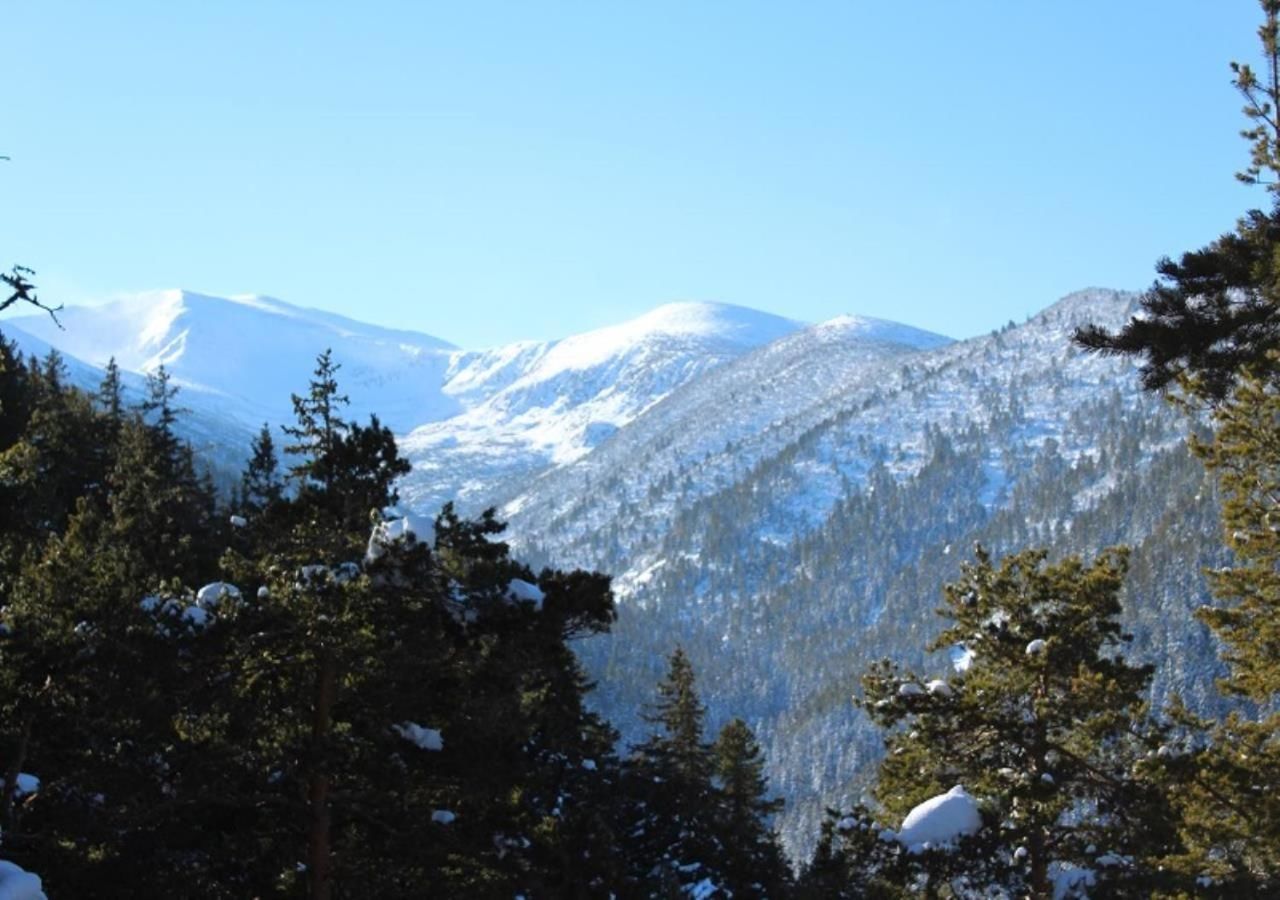 Виллы Ski Chalet Borovets Боровец