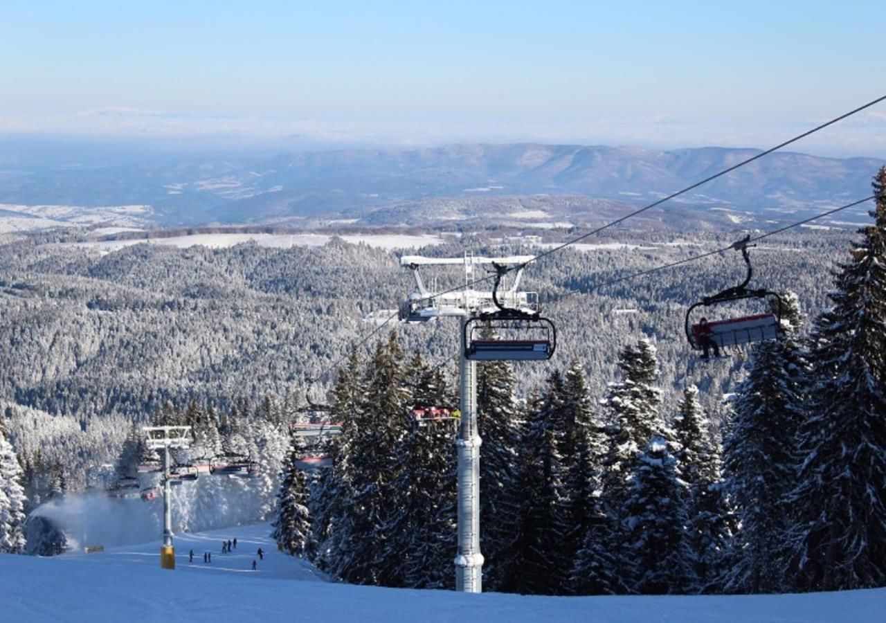 Виллы Ski Chalet Borovets Боровец