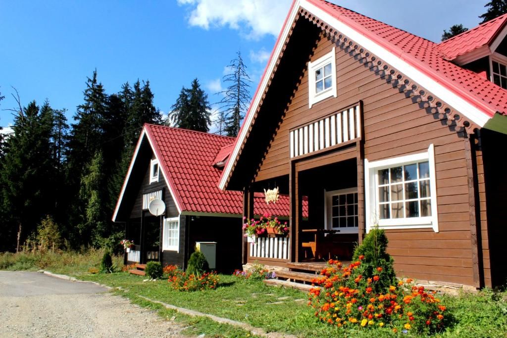 Виллы Ski Chalet Borovets Боровец-87