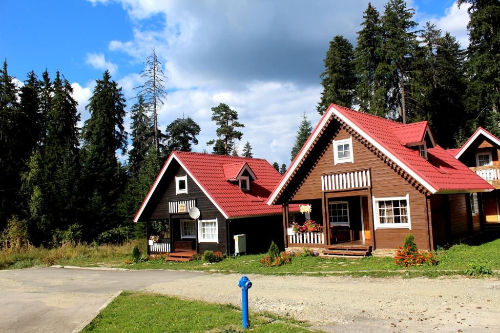 Виллы Ski Chalet Borovets Боровец-91