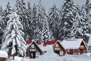 Виллы Ski Chalet Borovets Боровец Вилла с 3 спальнями-93