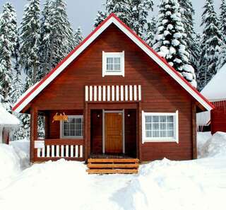 Виллы Ski Chalet Borovets Боровец Вилла с 3 спальнями-94