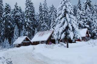 Виллы Ski Chalet Borovets Боровец Вилла с 3 спальнями-96