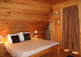 Виллы Ski Chalet Borovets Боровец Вилла с 3 спальнями-30