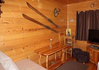 Виллы Ski Chalet Borovets Боровец Вилла с 3 спальнями-46