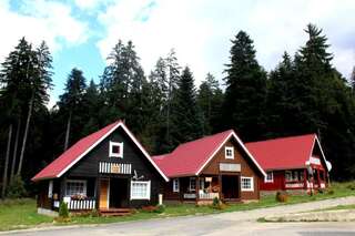 Виллы Ski Chalet Borovets Боровец Вилла с 3 спальнями-61