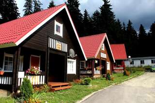 Виллы Ski Chalet Borovets Боровец Вилла с 3 спальнями-65