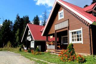 Виллы Ski Chalet Borovets Боровец Вилла с 3 спальнями-67