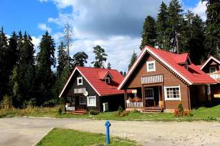 Виллы Ski Chalet Borovets Боровец Вилла с 3 спальнями-71