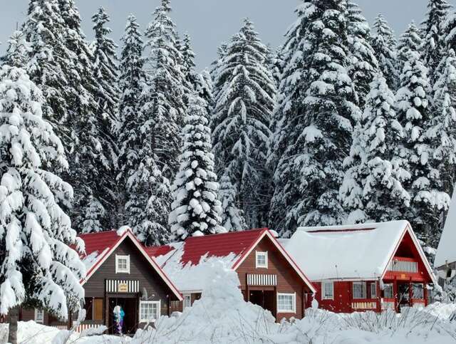 Виллы Ski Chalet Borovets Боровец-114