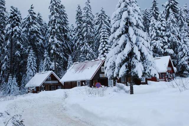 Виллы Ski Chalet Borovets Боровец-115